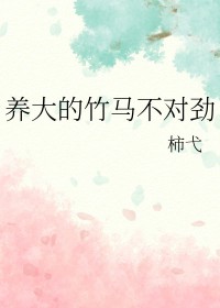 ����С˵:������������Ծ�