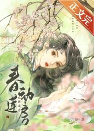 ����С˵:��������