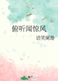 ����С˵:�����ž���