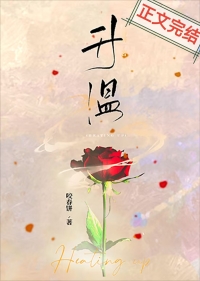 ����С˵:����