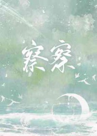 ����С˵:���