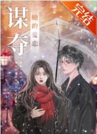 ����С˵:��������