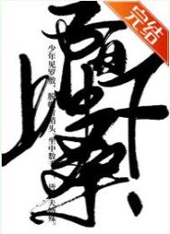 ����С˵:İ������ɣ