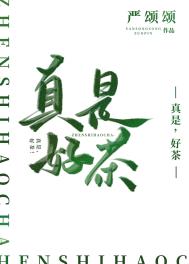 ����С˵:���ǣ��ò裡