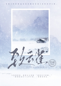 ����С˵:����ȸ