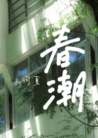 ����С˵:���������