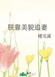 ����С˵:�޿���ò׷��