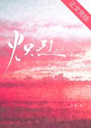 ����С˵:����