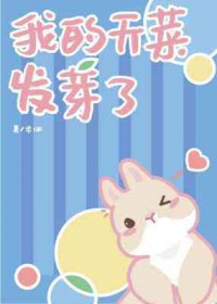 ����С˵:�ҵ���˷�ѿ��