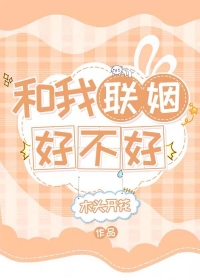 ����С˵:���������ò���