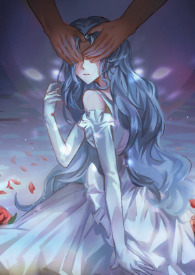 ����С˵:��������������