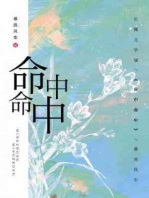 ����С˵:��������