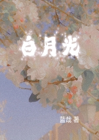 ����С˵:�����¹��ƾ���Բ��(NPH)