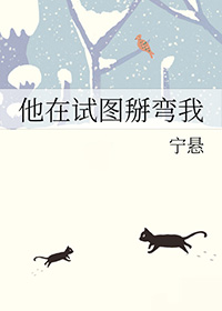 ����С˵:������ͼ������