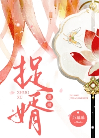 ����С˵:׽��