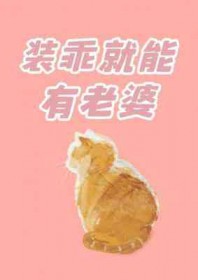 ����С˵:װ�Ծ���������