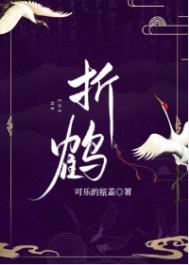 ����С˵:�ۺ�