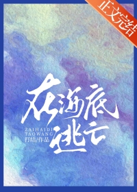 ����С˵:�ں�������