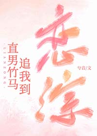 ����С˵:ֱ������׷�ҵ�����