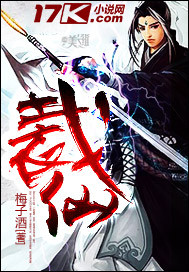 ����С˵:����