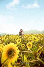 ����С˵:����ƽ�ļ�