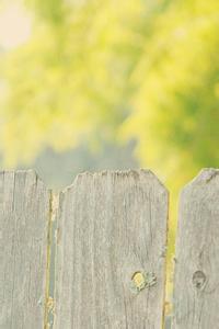 ����С˵:�������ļ�