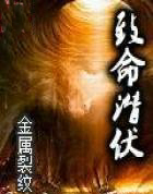 ����С˵:����Ǳ��