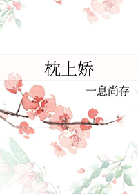 ����С˵:���Ͻ�