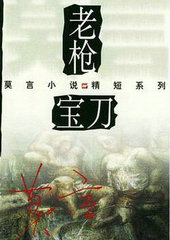 ����С˵:��ǹ����