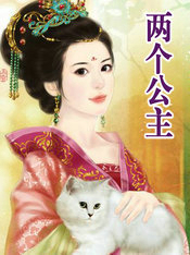 ����С˵:��������