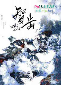 ����С˵:�ǳ�