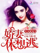 ����С˵:���������̫̫