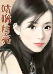 ����С˵:��������