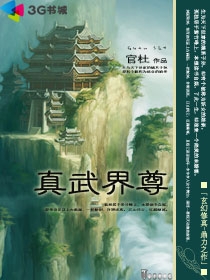 ����С˵:�������