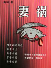 ����С˵:���