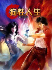 ����С˵:��������