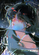 ����С˵:׷��