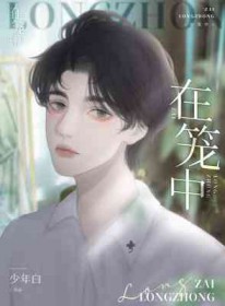 ����С˵:������