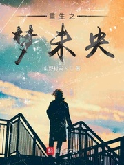 ����С˵:����֮��δ��