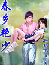 ����С˵:��������