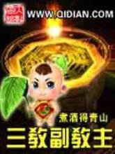 ����С˵:���̸�����