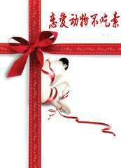 ����С˵:�������ﲻ����