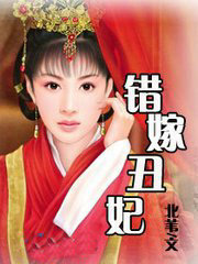 ����С˵:���޳���