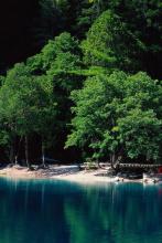 ����С˵:�����ļ�