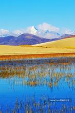 ����С˵:������ʹ֮���ļ�