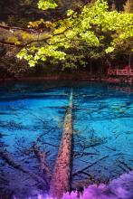 ����С˵:���������ļ�