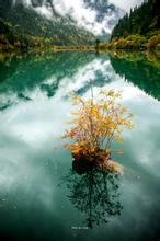 ����С˵:�����ļ�