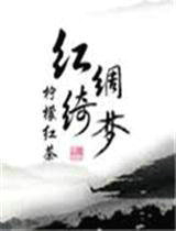 ����С˵:������