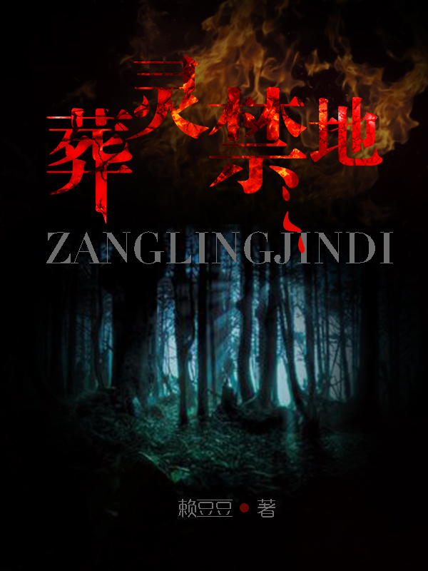 ����С˵:�������