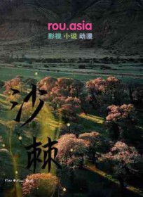 ����С˵:ɳ��